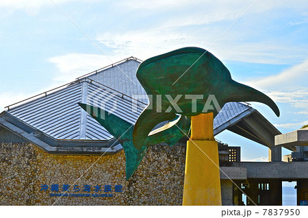 沖縄 美ら海水族館(沖縄県国頭郡本部町字石川) 沖縄 美ら海水族館(沖縄県国頭郡本部町字石川) 7837950