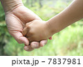 手をつなぐ　親子　手の写真 7837981