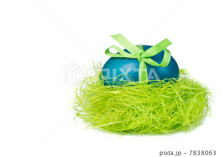 easter egg in nest easter egg in nest 7838063