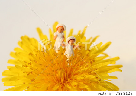 タンポポと子ども 7838125