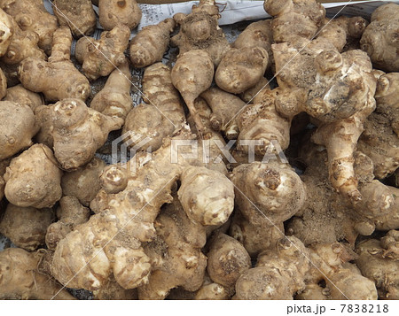 きく芋 7838218