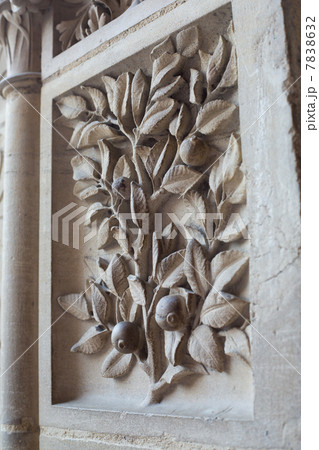 ノートルダム寺院 7838632