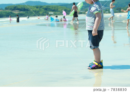 夏　真夏　海水浴　赤ちゃん 7838830