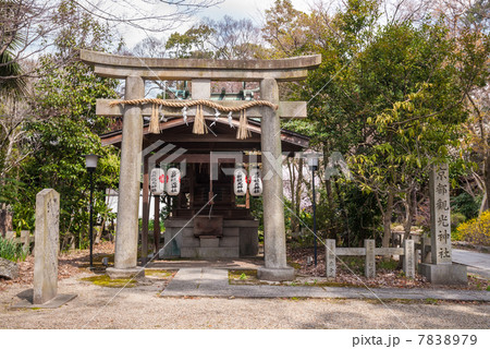 京都御苑　京都観光神社 7838979