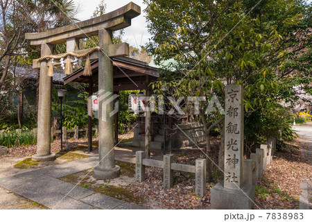 京都御苑　京都観光神社 7838983