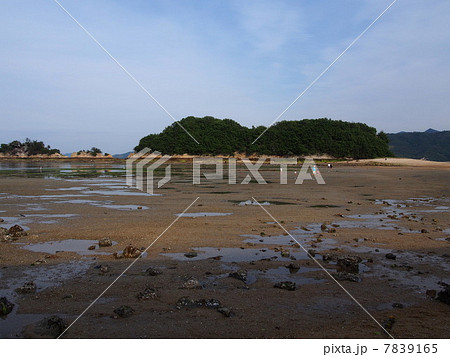 日本最古の水軍城跡 甘崎城跡 日本最古の水軍城跡 甘崎城跡 7839165