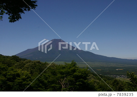 富士山 7839235