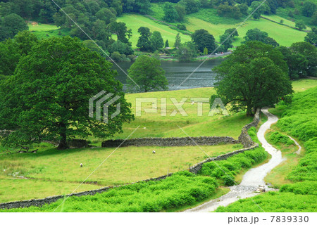 湖のほとりの小道 7839330