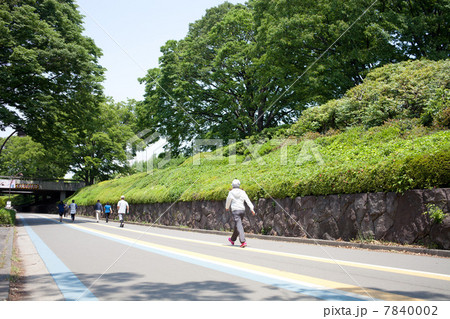 駒沢公園 7840002