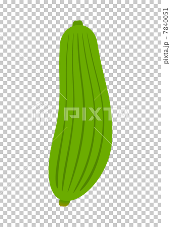 Loofah 7840051