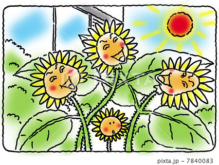 ひまわりと太陽 7840083