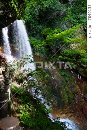 信州高山村雷滝 7840155
