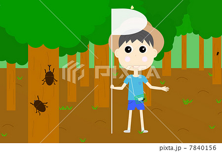 虫取り 虫取り 7840156