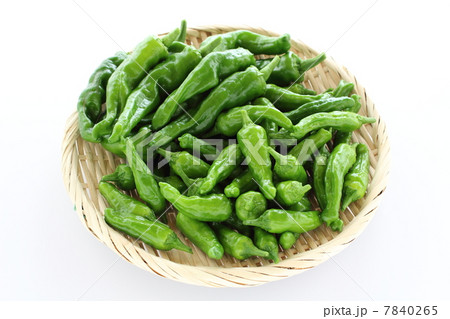 ししとう 7840265