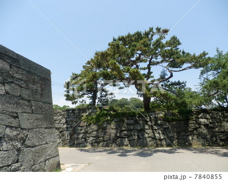 徳島城 100名城 徳島城 100名城 7840855