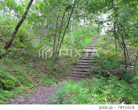 遊歩道 7841028