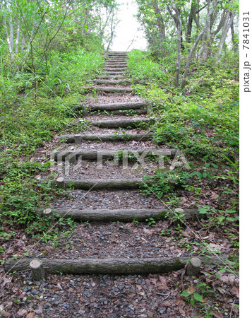 遊歩道 7841031