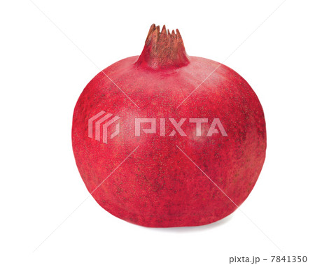 pomegranate fruit closeup isolated on white background pomegranate fruit closeup isolated on white background 7841350