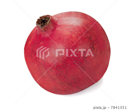 pomegranate fruit closeup isolated on white background pomegranate fruit closeup isolated on white background 7841351