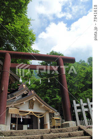 戸隠神社 奥社 戸隠神社 奥社 7841618