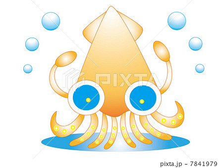 ダイオウイカ 7841979