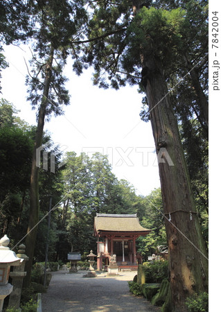 苗村神社東本殿 7842004