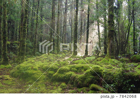 神々しい光 7842068