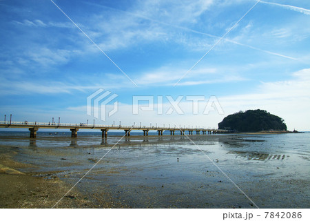 竹島 竹島 7842086