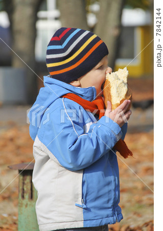 The kid eats bread during autumn walk in the park The kid eats bread during autumn walk in the park 7842144