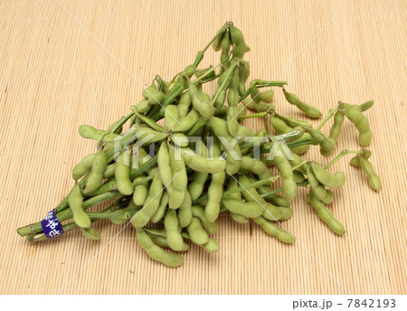 枝豆 枝豆 7842193