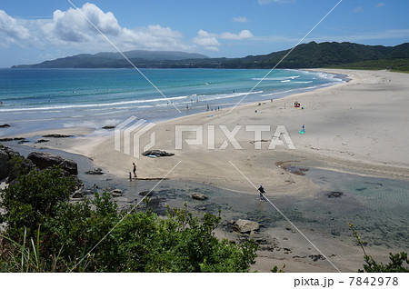 大岐海岸と夏空　高知県土佐清水市 7842978