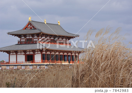 奈良　平城宮遺跡 7842983
