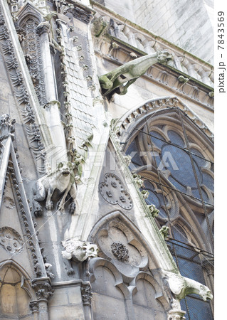 ノートルダム寺院 7843569