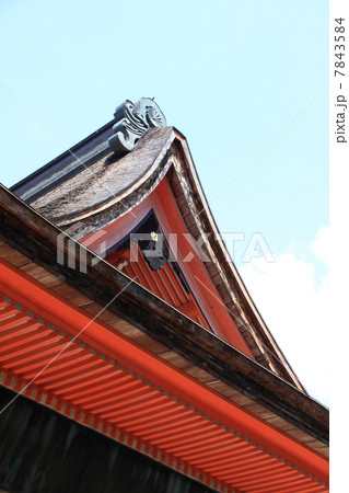 高知市一宮、土佐一ノ宮「土佐神社」本殿 7843584