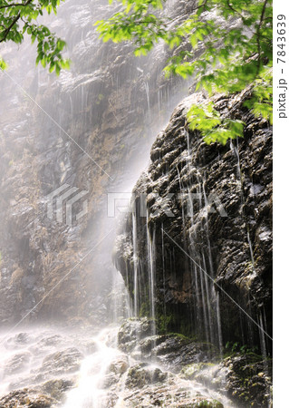 香川県三豊市「不動の滝」 7843639