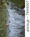 水路の滝 7844007