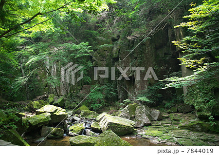 渓谷 7844019