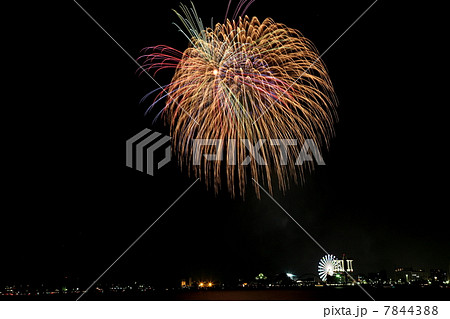 名古屋港祭りと花火大会 名古屋港祭りと花火大会 7844388