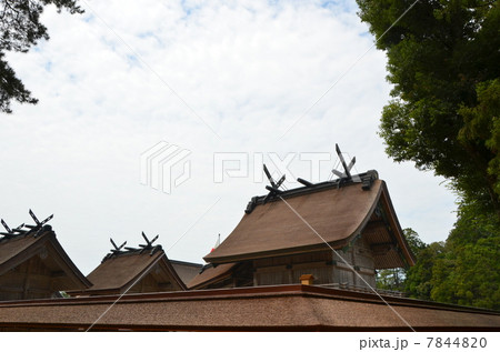 出雲大社 出雲大社 7844820