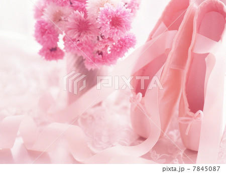 優しい花のイメージの写真素材