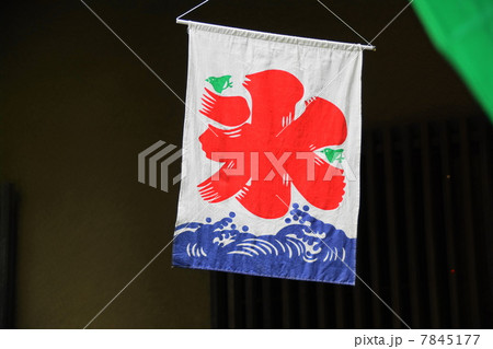 7月　氷旗03かき氷 7845177