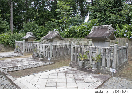 本光寺　東御廟所 7845625