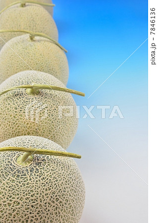 メロン メロン 7846136