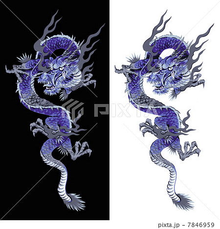龍 7846959