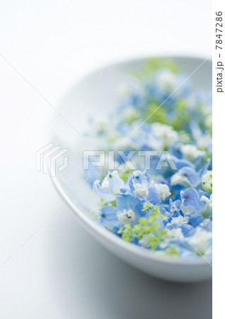 マリンブルー 7847286