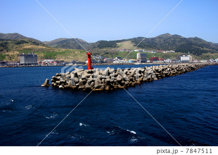 礼文島 香深港 礼文島 香深港 7847511