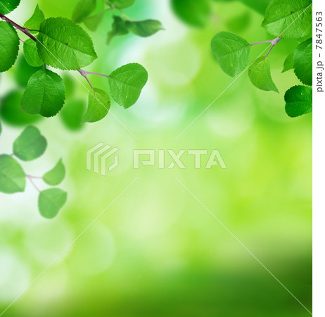 spring background spring background 7847563