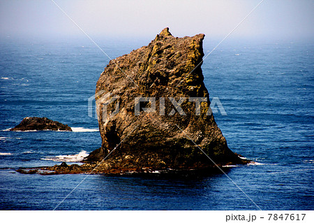 礼文島　猫岩　 7847617