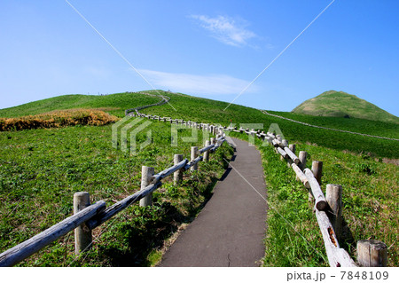 利尻礼文サロベツ国立公園　礼文島　桃岩　 7848109