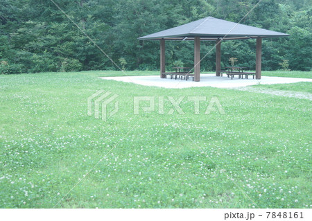 原っぱ 7848161